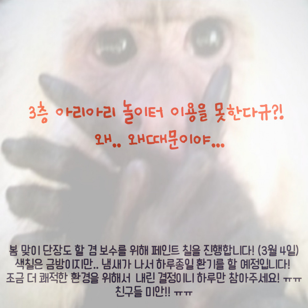 a40bcc608cdf57a1593a254aaf68397c_1677814755_4358.jpg